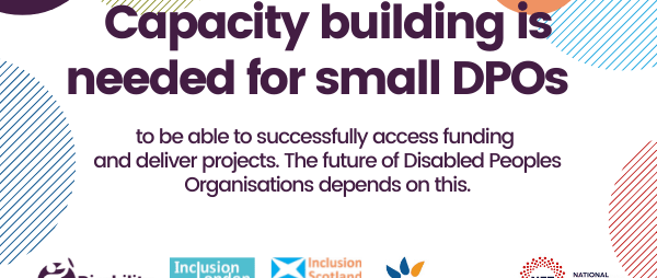 Capacity building is needed for small DPOs